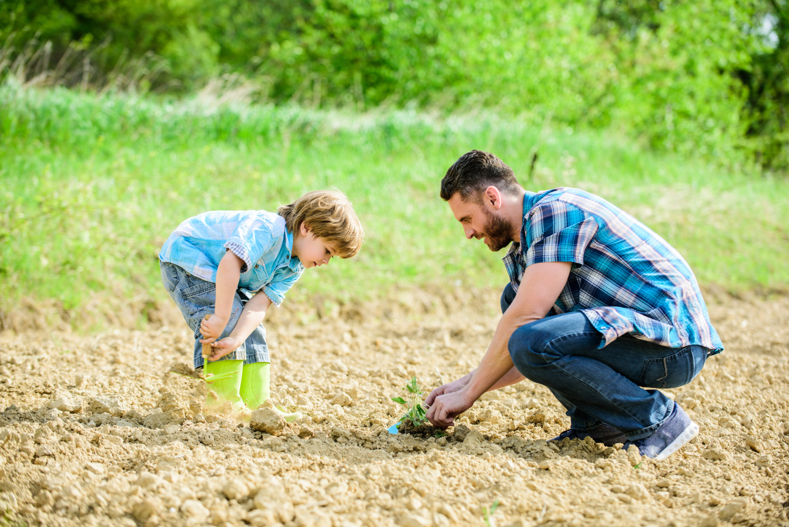 Boy and Father Planting Tree